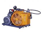 Компрессор для дайвинга Bauer РЕ100-TW-F02