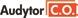 Audytor C.O. 3.8 Аудитор Отопление