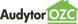 Audytor OZC 5.0 -Аудитор теплопотери