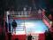 Ринг боксерский 6*6м на помосте 1м Kick BOX2 Sportstyle