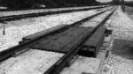 Весы электромеханические вагонные ВВ-100