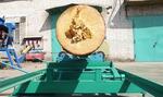 Цепной кантователь с ручным вывешиванием бревна