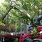 Гидроманипуляторы для леса Hiab Loglift