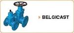 Запорная арматура  Belgicast