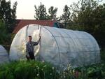 Теплицы РеалПласт г. Красноярск MAXI-5.8