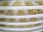 Транспортёры различного типа для перемещения продуктов пищевой и не пищевой промышленности.