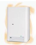 Котлы газовые настенные Therm DUO 50FT