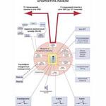 Контрольные приборы охранно-пожарной сигнализации