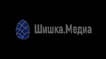 Шишка.Медиа