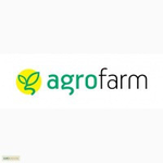  Raghuvansh Agrofarms Ltd