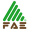 logo логотип FAE Group S . p . A . FAE Group S . p . A .