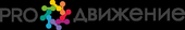 PROдвижение