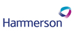 logo логотип Hammerson Hammerson