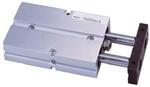 Двухпоршневой цилиндр SNS                  TN20*150            