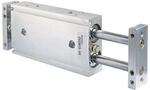 Двухпоршневой цилиндр SNS                  CXSM25*100            