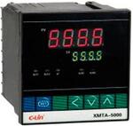 Регулятор температуры C-LIN                  XMTA-5000-J Pt100            