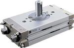 Цилиндр поворотный SNS                  CRQ2 30*90            