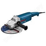 GWS 20-230 H Professional 601850107