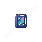 Marine 2T DFI Motor Oil