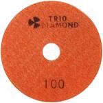 Черепашка 100 № 100