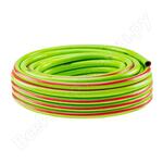 PROFESSIONAL PROFESSIONAL