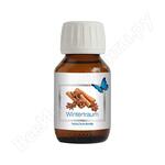 Зимняя мечта Wintertraum