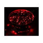 ТВИНКЛ ТВИНКЛ