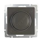 WL07-DM600