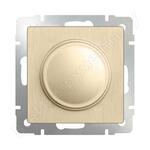 WL10-DM600