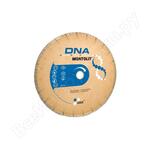 SCX300 DNA