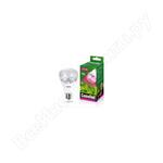 LED10-PL/BIO/E27 LED10-PL/BIO/E27