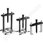 Профессионал