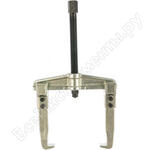 Профессионал