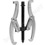 Профессионал