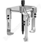 Профессионал