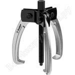 Профессионал