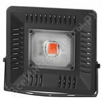 FITO-50W-LED BLUERED