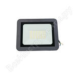 LED FL 100W65 LED FL 100W65