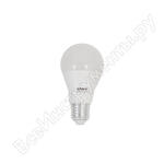 ECO LEDGLSE27 15W 40