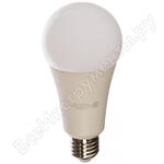 LED Elementary