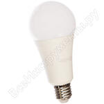 LED Elementary