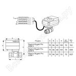 Bugatti Pro Bugatti Pro