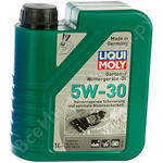 Garten-Wintergerate-Oil 5W-30