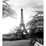 MZ-70 Эйфелева башня