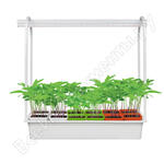 UFP-G34S WHITE MIX 12 ULI-P