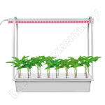 Минисад ULT-P44B-10W/SPSB IP40 AQUA SIMPLE WHITE Минисад ULT-P44B-10W/SPSB IP40 AQUA SIMPLE WHITE