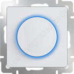 WL01-DM600-LED