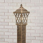 Cassiopeya F / GL 1018F Cassiopeya F / GL 1018F