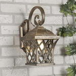 Cassiopeya D Cassiopeya D