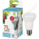 LED-R63-standard